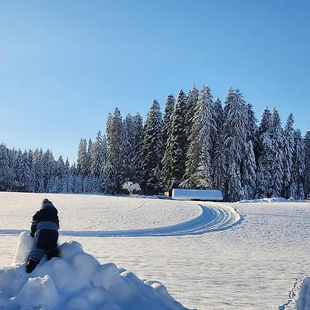 Woetzinghof Kirchberg en Tyrol