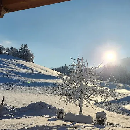 Wötzinghof Bauernhof Kirchberg in Tirol