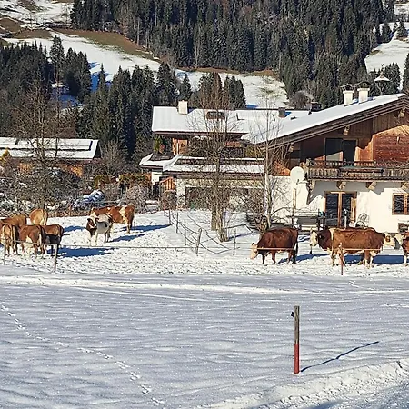 Woetzinghof * Kirchberg in Tirol
