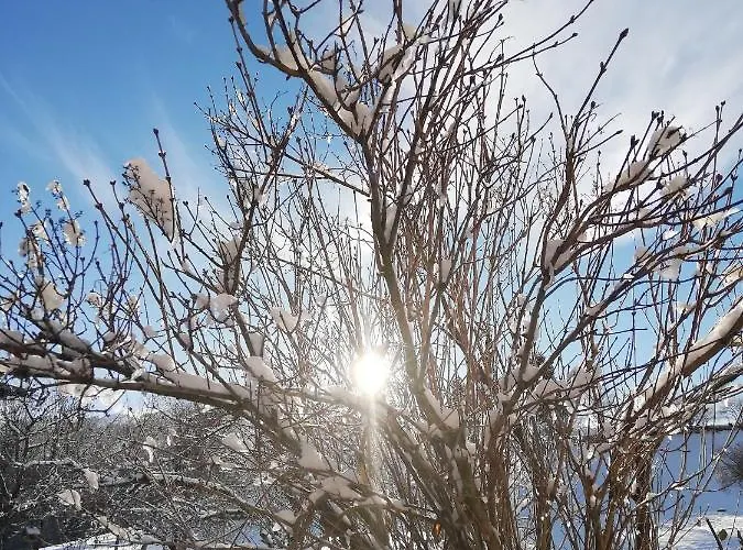 Woetzinghof Séjour à la ferme Kirchberg en Tyrol