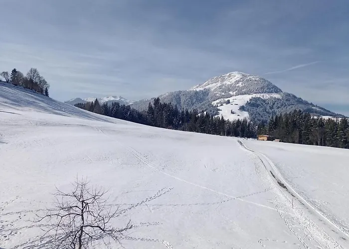 Séjour à la ferme Woetzinghof *