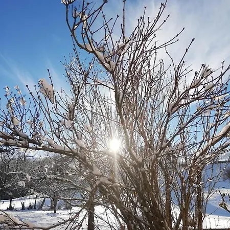Woetzinghof Agroturismo Kirchberg in Tirol