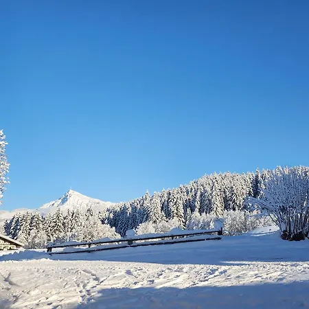 Woetzinghof Çiftlik konaklama Kirchberg in Tirol
