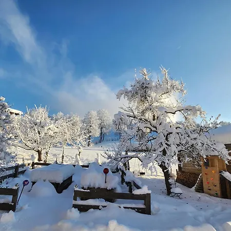 Woetzinghof Kirchberg in Tirol
