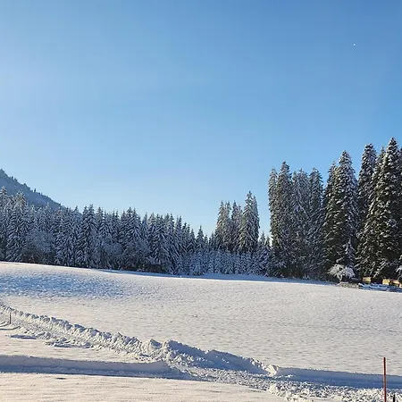 Woetzinghof Kirchberg in Tirol