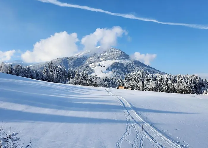 Woetzinghof Çiftlik konaklama