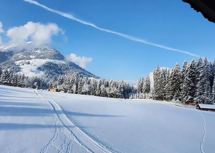 Çiftlik konaklama Woetzinghof