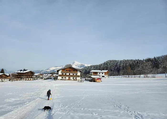 Woetzinghof Çiftlik konaklama