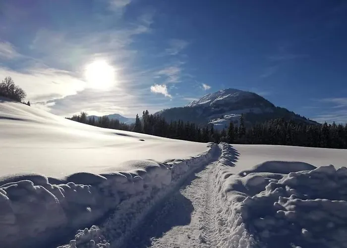 Çiftlik konaklama Woetzinghof