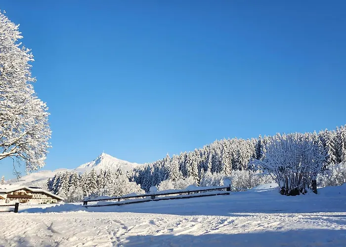 Woetzinghof Çiftlik konaklama Kirchberg in Tirol